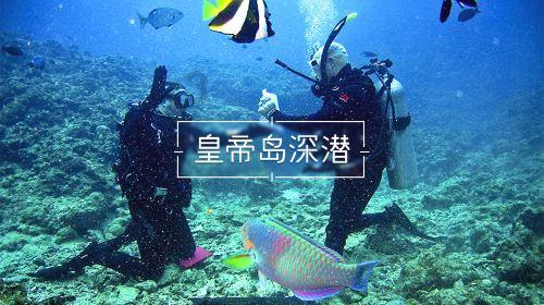 90后湖北轮椅美女:独居,超酷